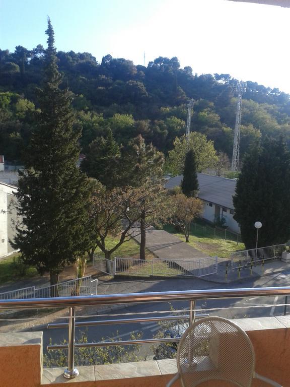 Guesthouse Lautasevic Petrovac Exterior foto
